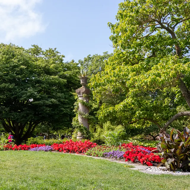 Botaniska trädgården