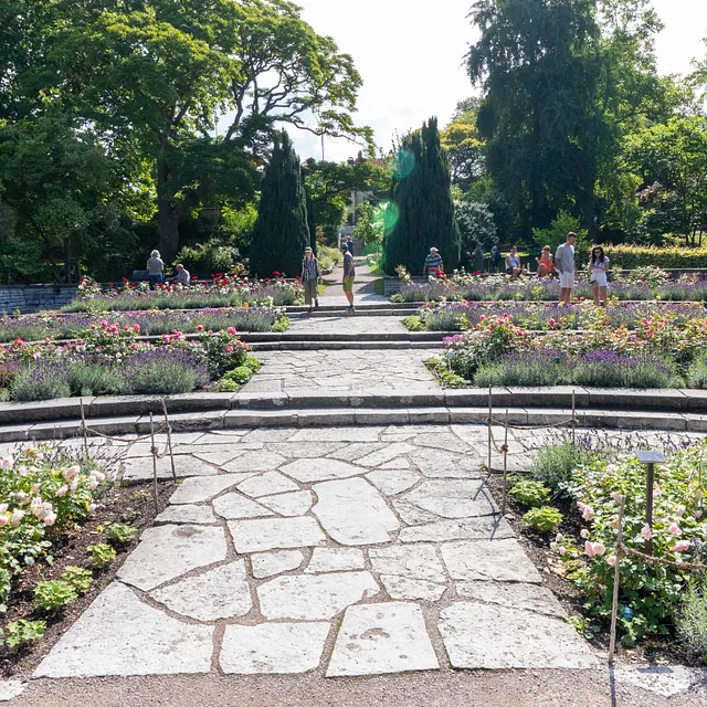 Botaniska Trädgården