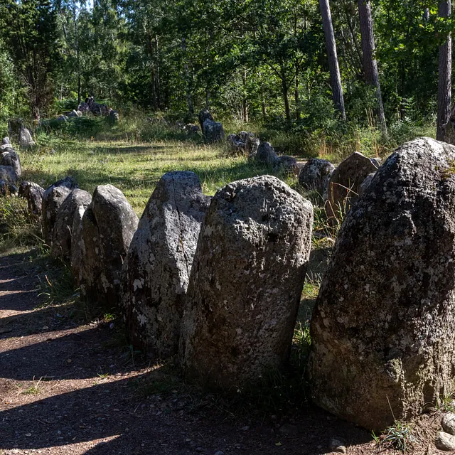 Gnisvärds skeppssättning